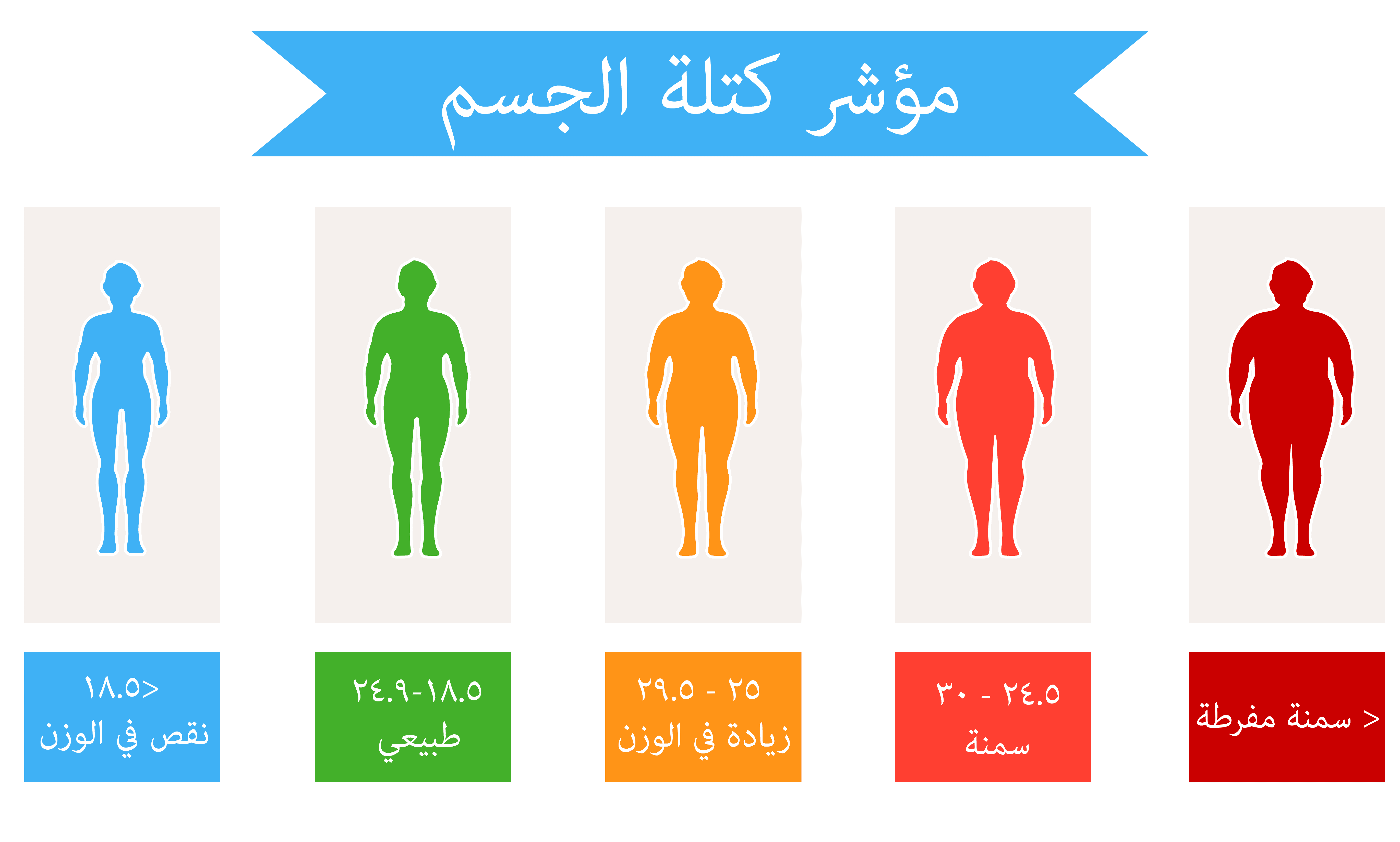  Turkish Bariatric Surgery